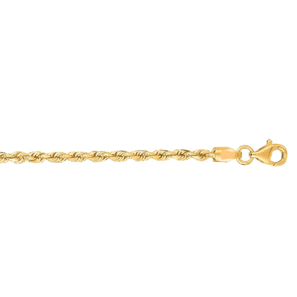 10K Yellow Gold (2.5mm) Solid Diamond Cut Rope Chain