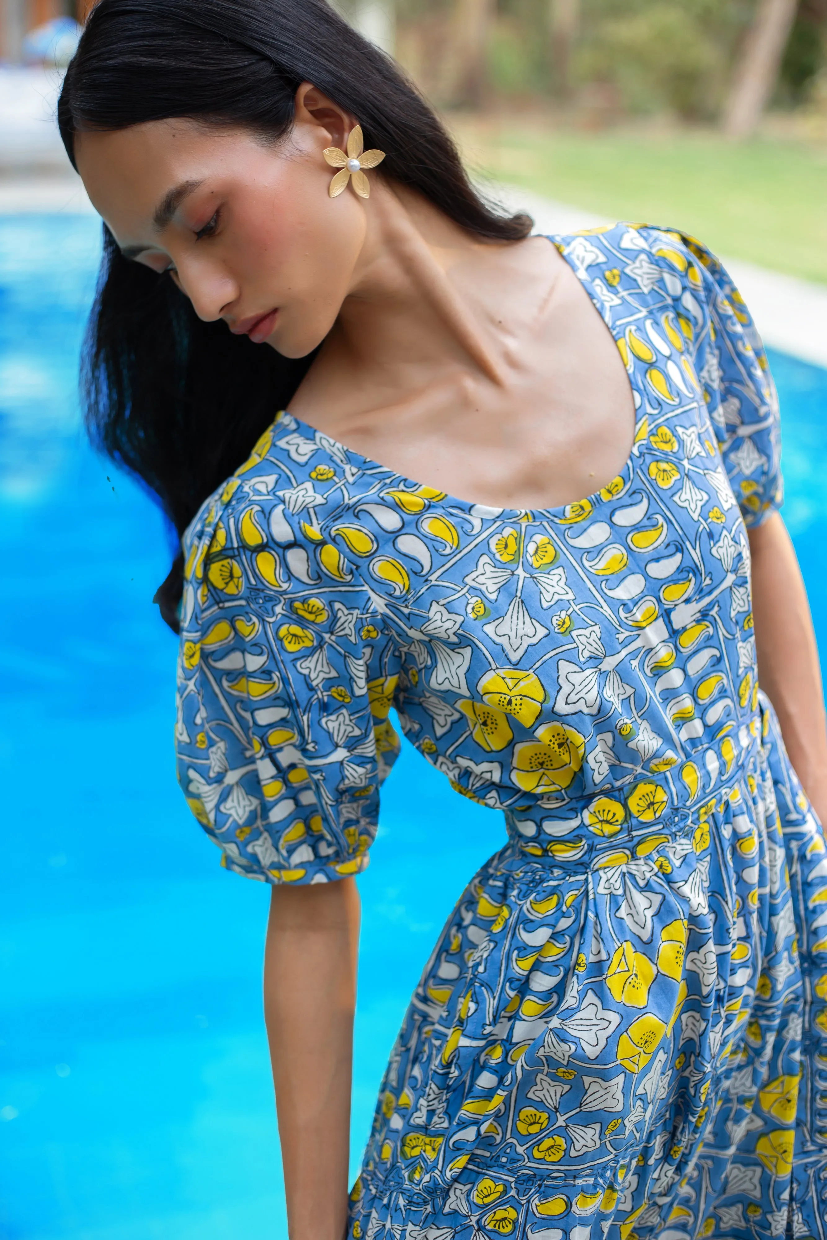 1377 Daisy