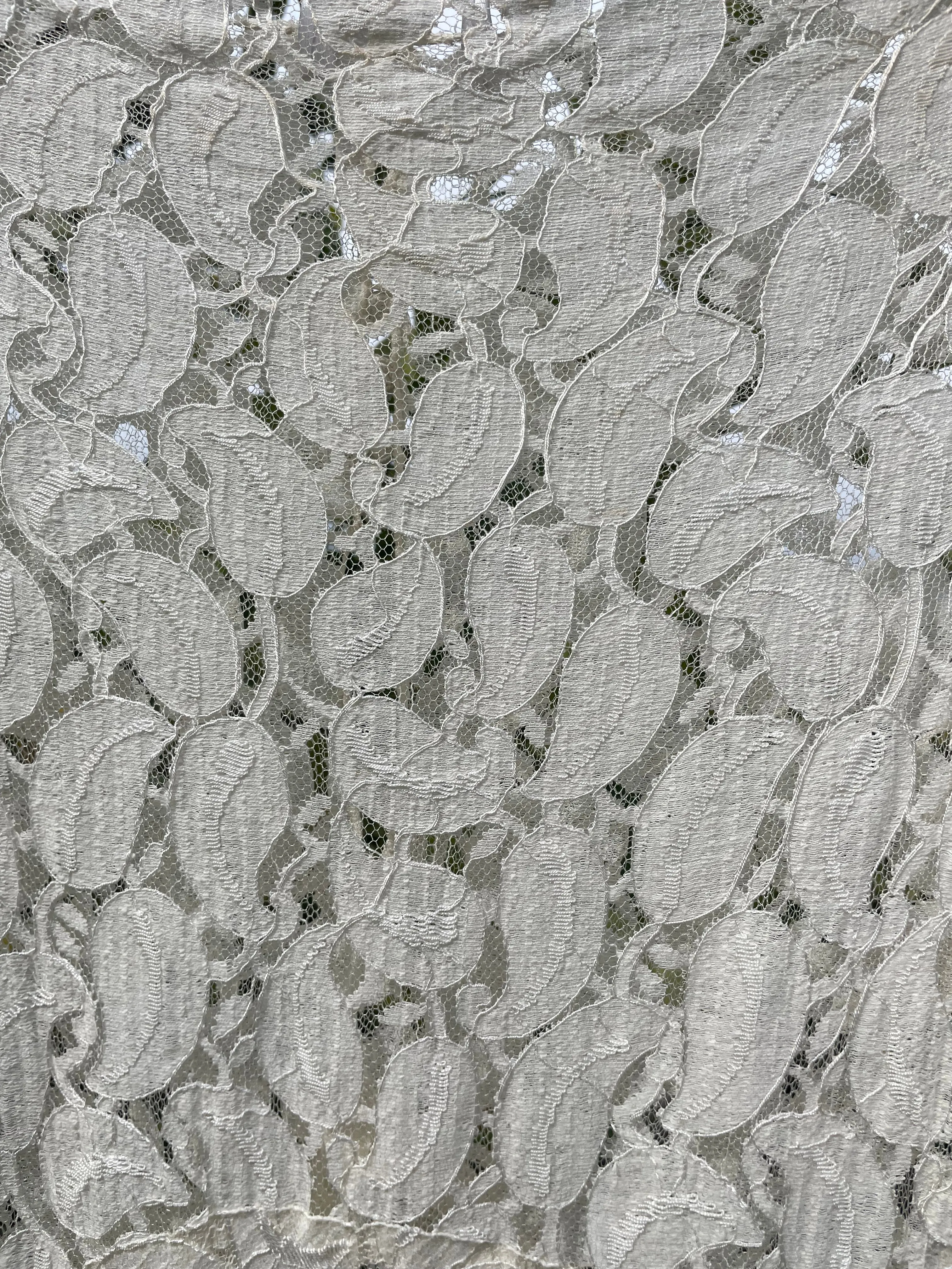 1930s Eggshell Lace Long Sleeve Gown