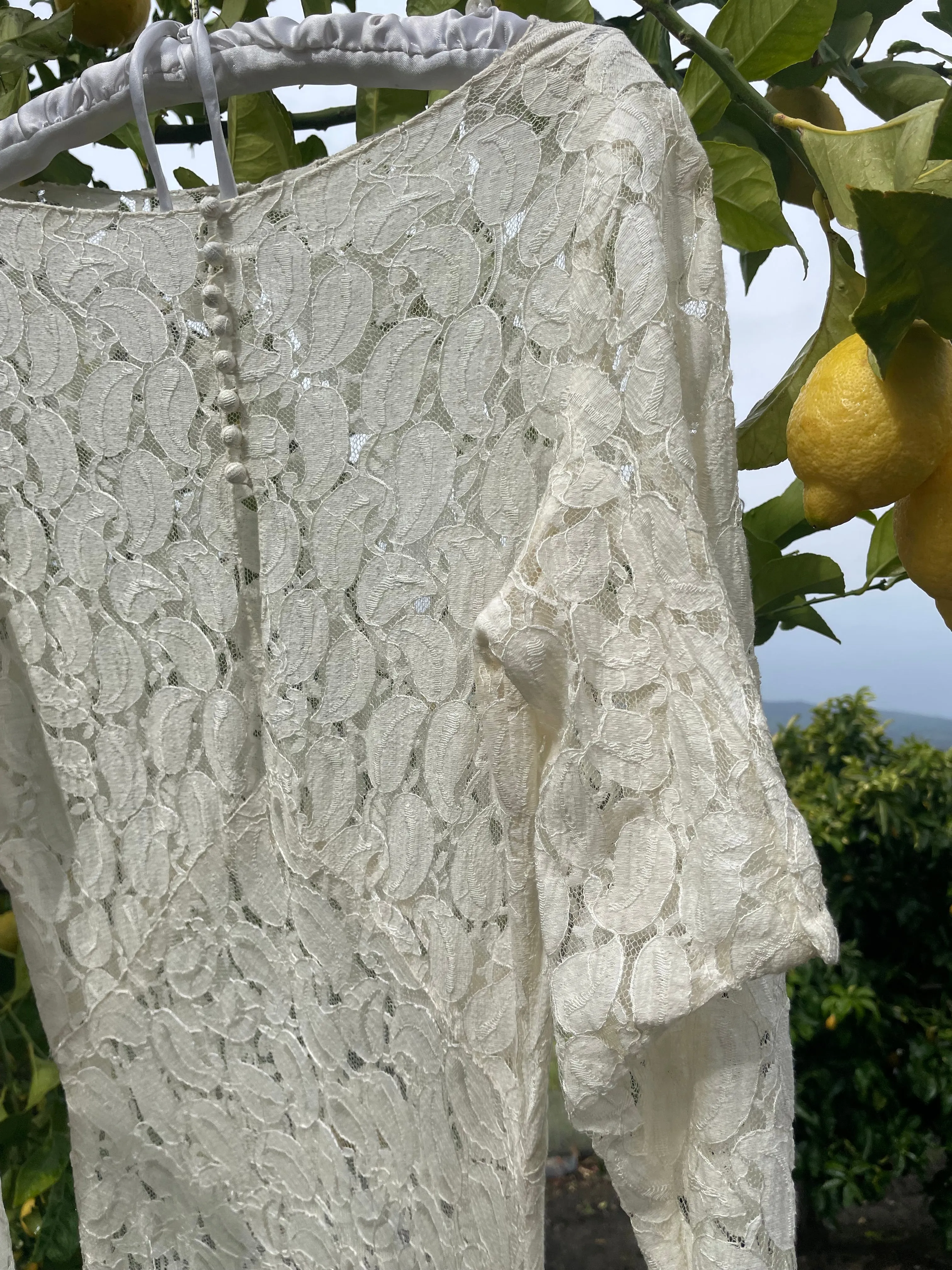 1930s Eggshell Lace Long Sleeve Gown
