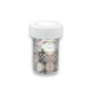 Abalone Shell Transfer Foil