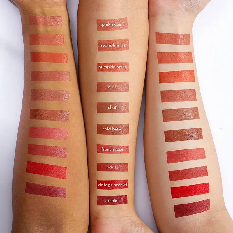 Absidy Cashmere Kiss Matte Lipstick in Paris
