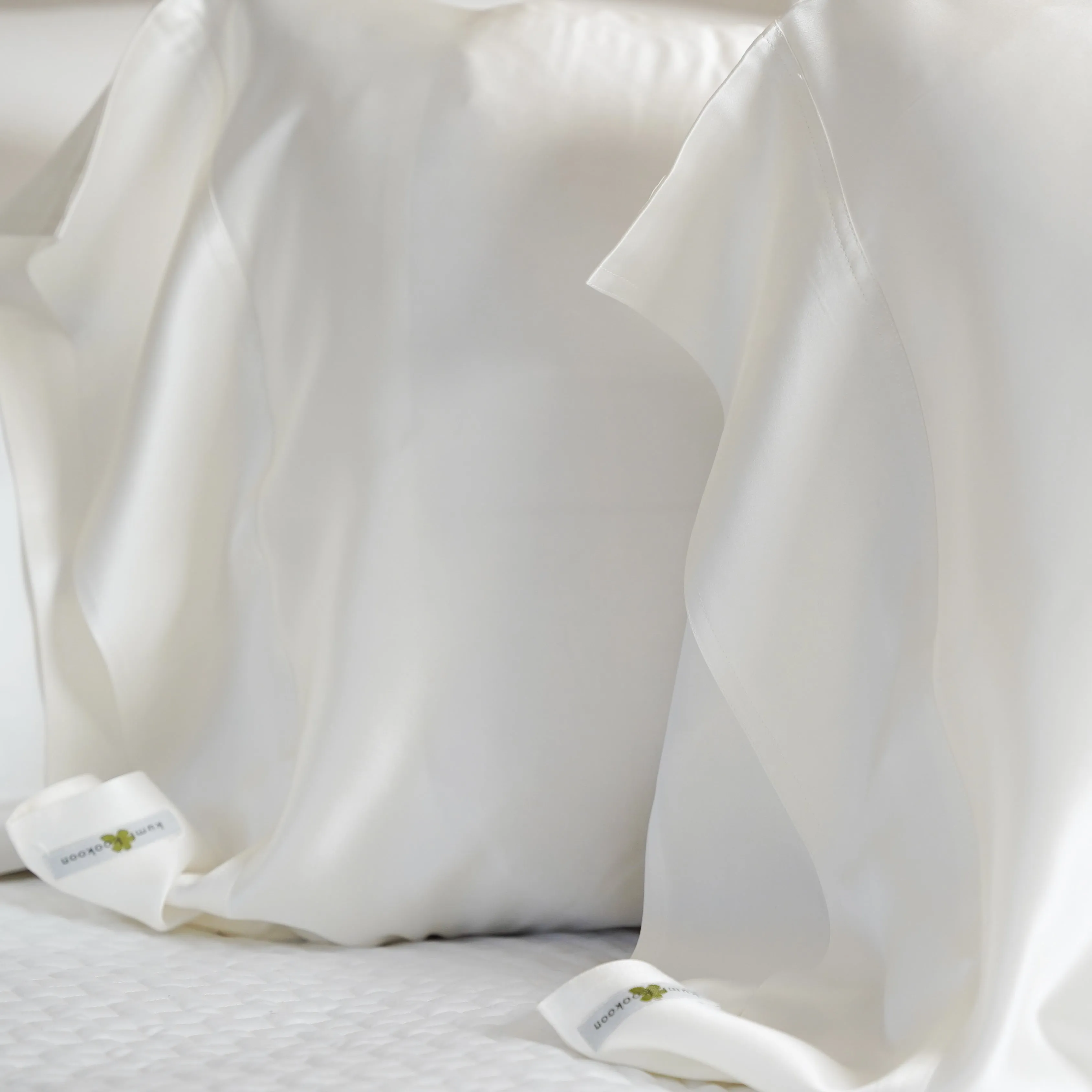 Classic Silk Pillowcase