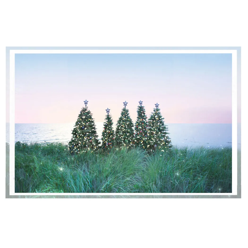 Coastal Holiday Tray by Gray Malin