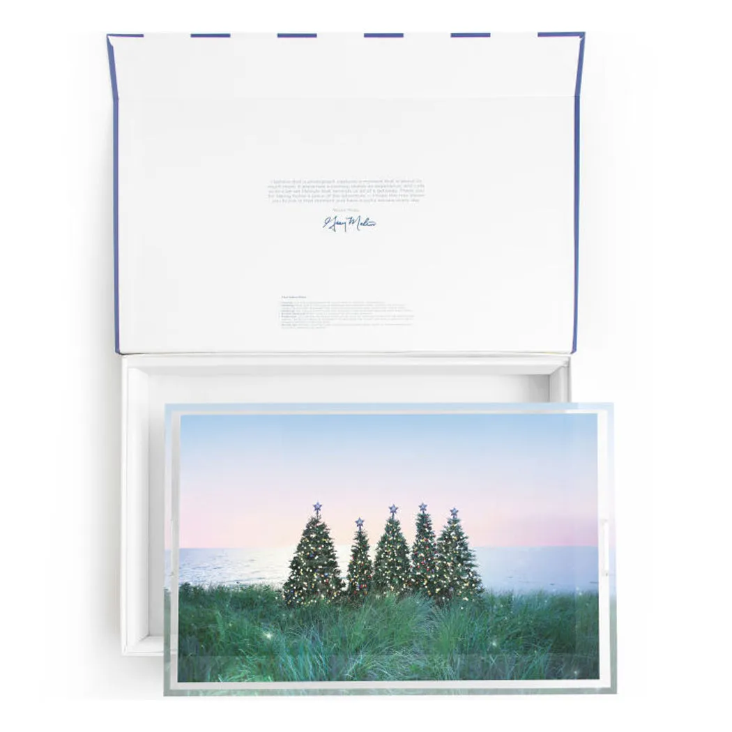 Coastal Holiday Tray by Gray Malin