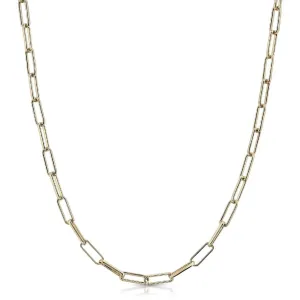 Eklexic Elongated Link Chain Necklace in Gold