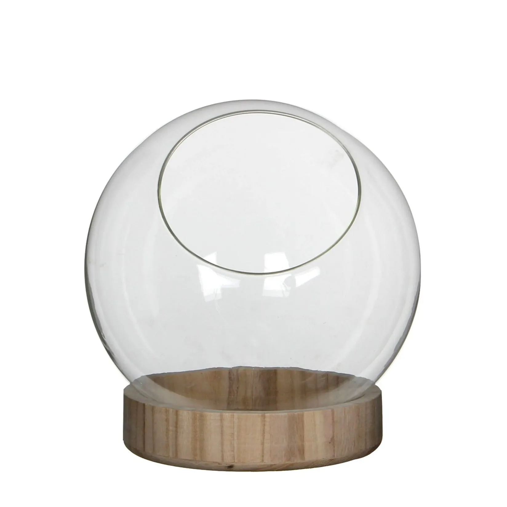 GLOBE & BASE TERRARIUM