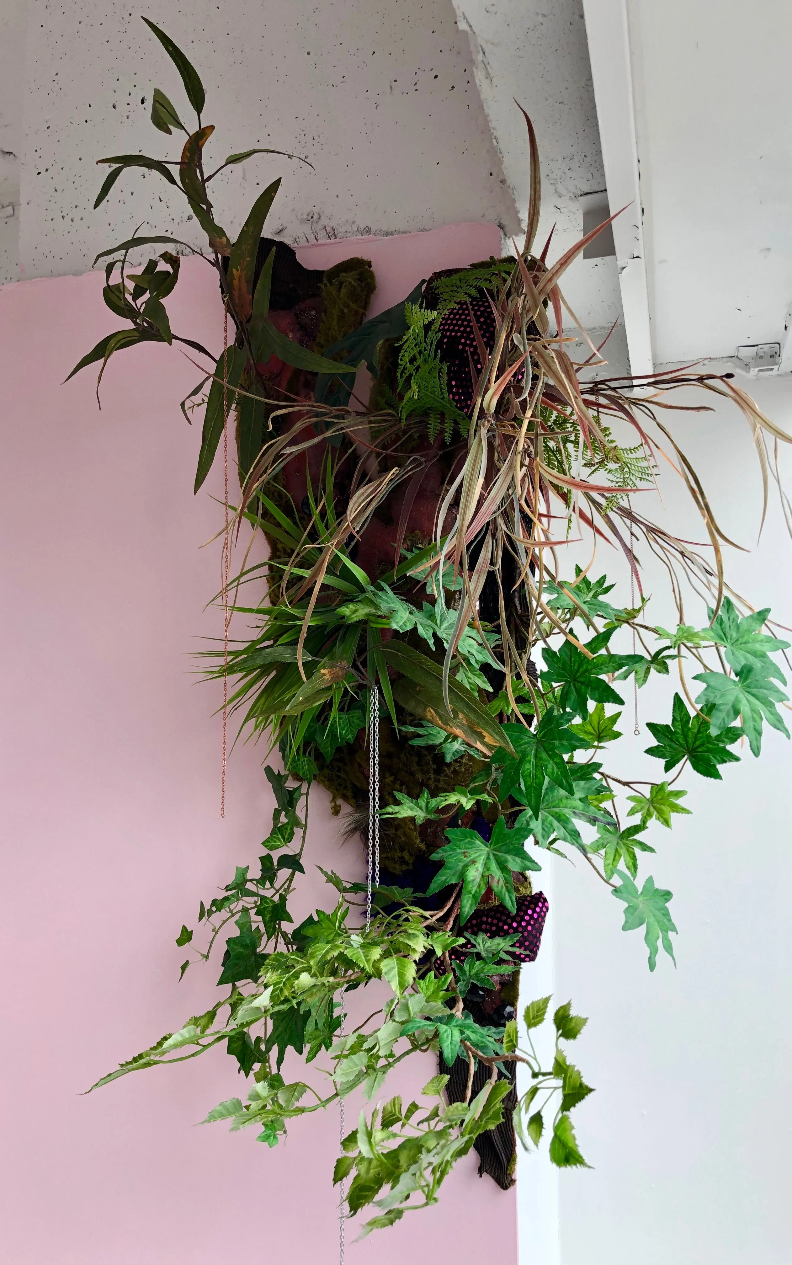 Lina Puerta, "Untitled (Botánico Series)"