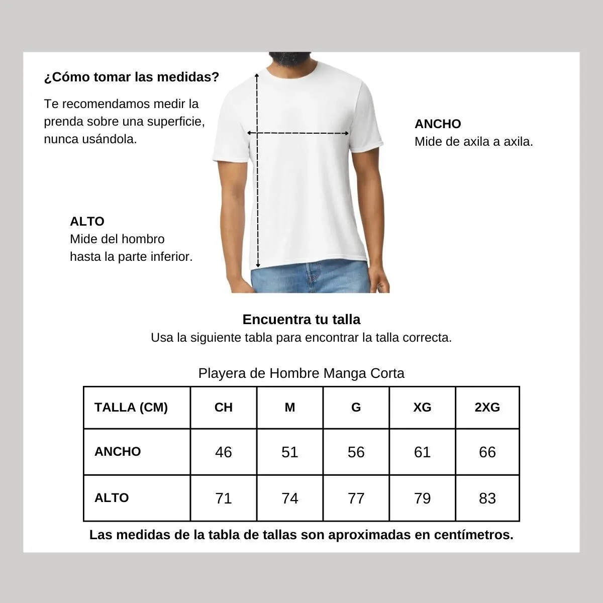 Playera Hombre Rock Alice in chains AIC 844B
