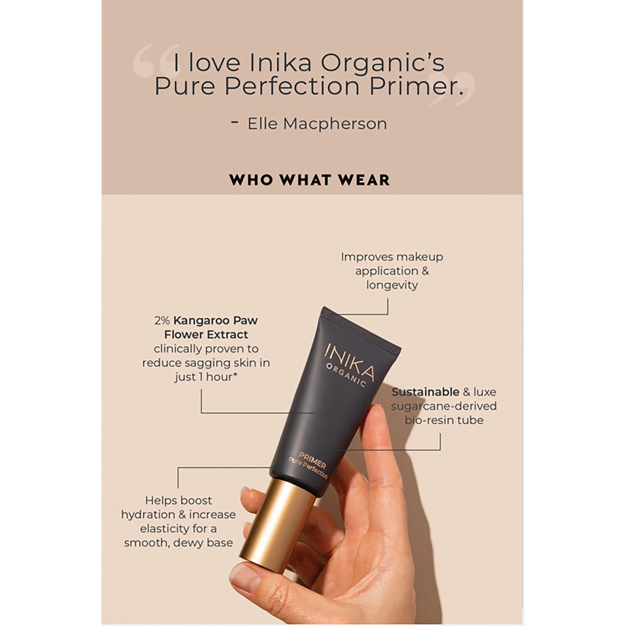 Pure Perfection Primer