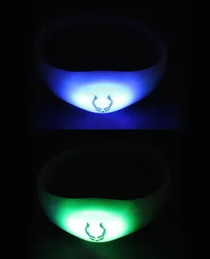RAVE BAND MOTION