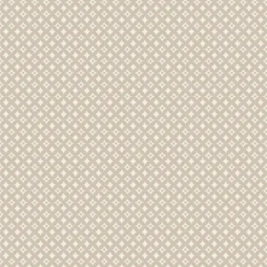 Soften The Volume Petal Trellis in Taupe by AGF Studio