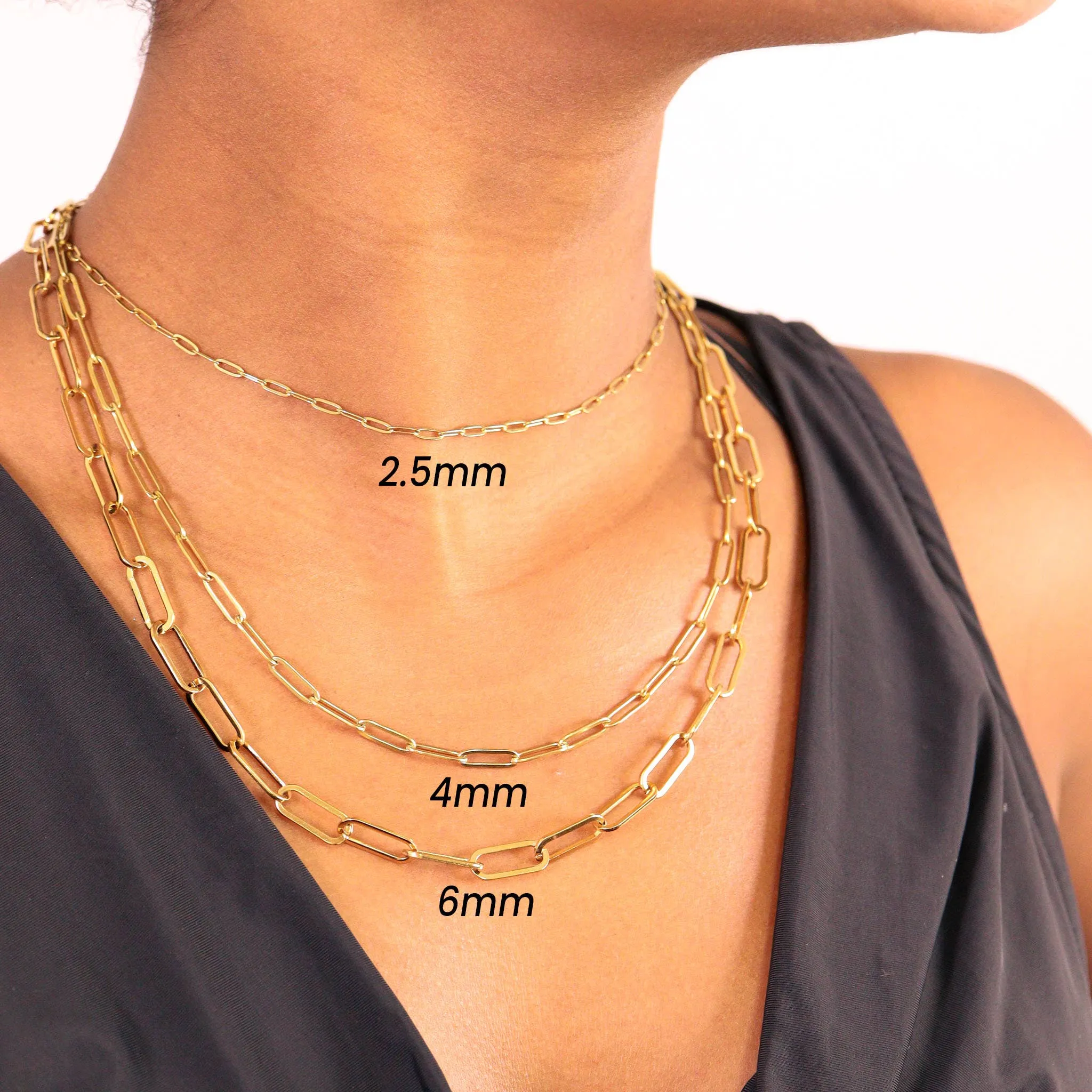 Taylor 18K Gold PVD and Stainless Steel PVD Paperclip Chain Necklace