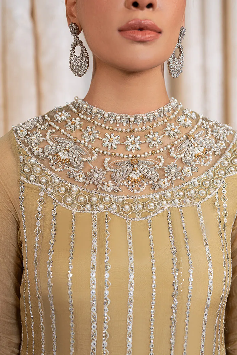TENSIL | Mushq Monsoon Wedding Luxury Chiffon Collection 2022 |  Unstitched Embroidered Chiffon Suits