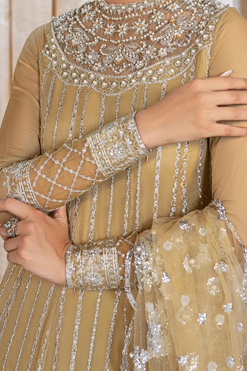 TENSIL | Mushq Monsoon Wedding Luxury Chiffon Collection 2022 |  Unstitched Embroidered Chiffon Suits