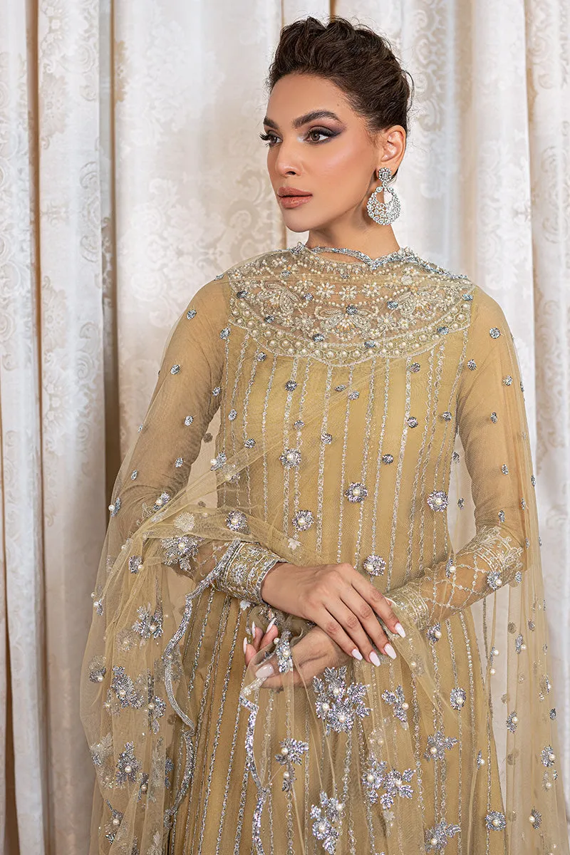 TENSIL | Mushq Monsoon Wedding Luxury Chiffon Collection 2022 |  Unstitched Embroidered Chiffon Suits