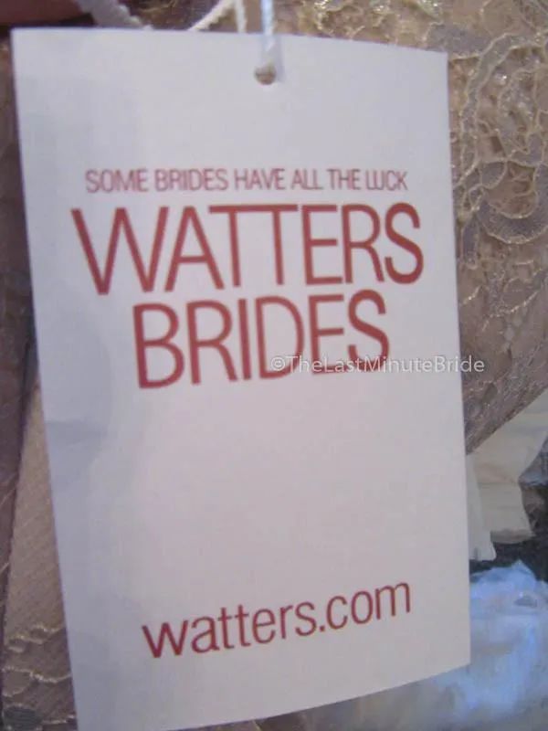 Watters Zarrin 7060B